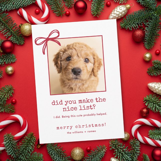 Carte de Noël drôle avec photo de chien mignon (This funny Christmas card is shown in 5x7 inches. Add photo, names and choose size + corner style.)