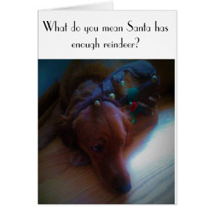 carte de Noël drôle de chien