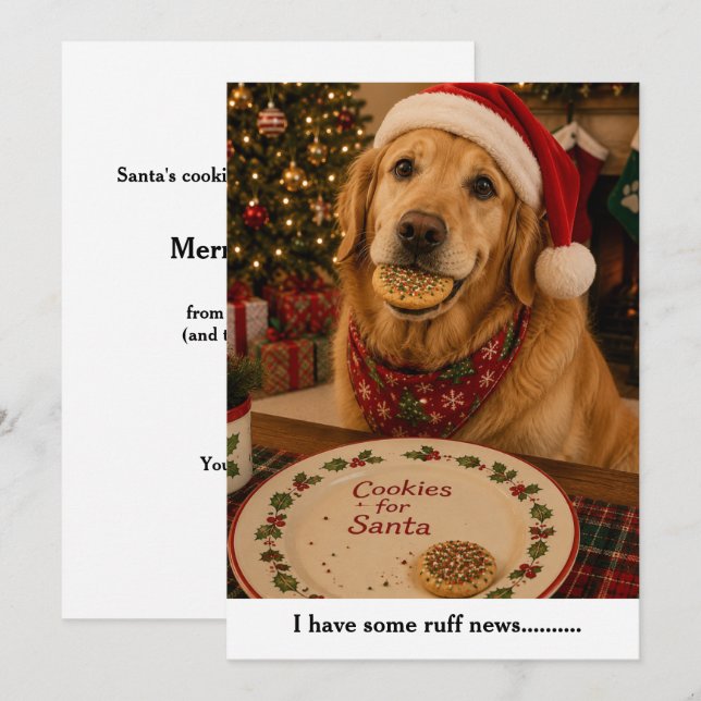 Carte de Noël drôle de chien  (Devant / Derrière)