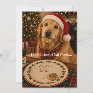 Carte de Noël drôle de chien   Cookies pour le Pèr