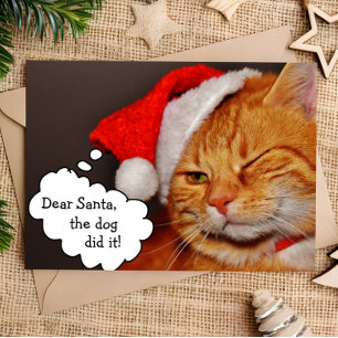 Carte de Noël drôle et mignonne de chat pour les f