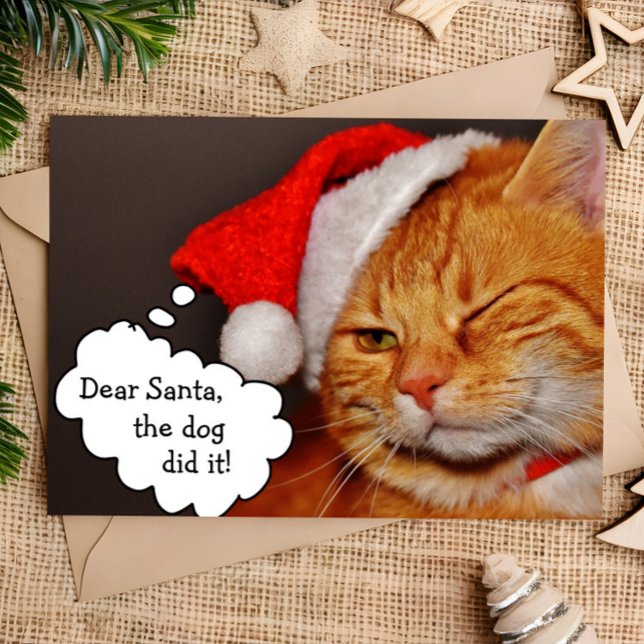 Carte de Noël drôle et mignonne de chat pour les f (Créateur téléchargé)