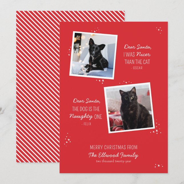 Carte de Noël drôle pour animal de compagnie (Devant / Derrière)