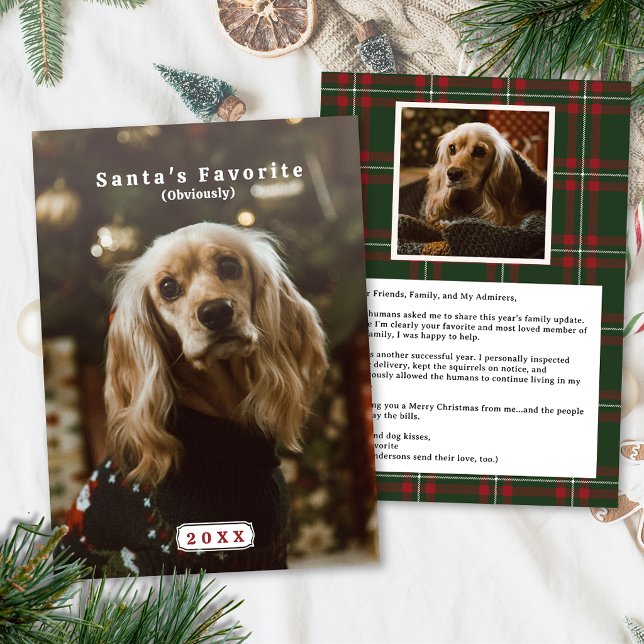 Carte de Noël drôle pour animaux de compagnie avec (Funny Pet Photo Holiday Card Santa's Favorite )
