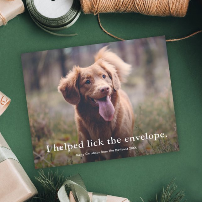 Carte de Noël drôle pour animaux de compagnie avec (Funny pet photo christmas holiday cards.)