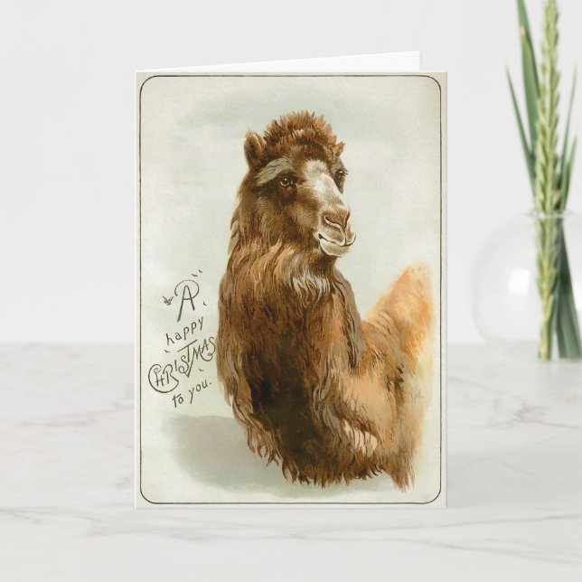 Carte de Noël du Camel victorien (Devant)