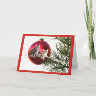 Carte de Noël du chat