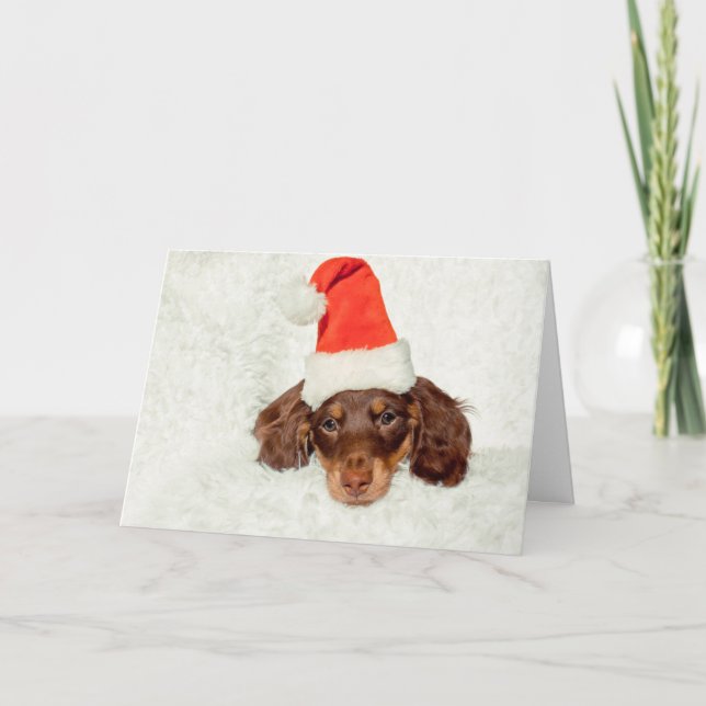 Carte de Noël du chiot de Dachshund (Devant)