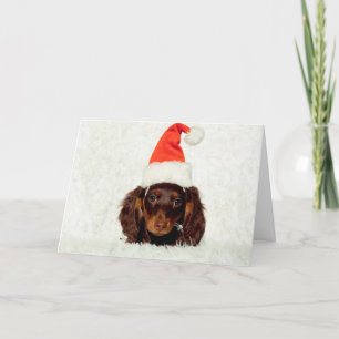Carte de Noël du chiot de Dachshund