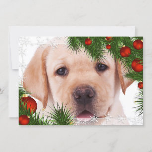 Carte de Noël du Laboratoire Jaune - Chien adorabl