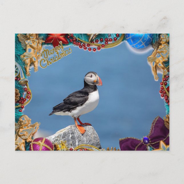 Carte de Noël du Puffin de l'Atlantique (Devant)
