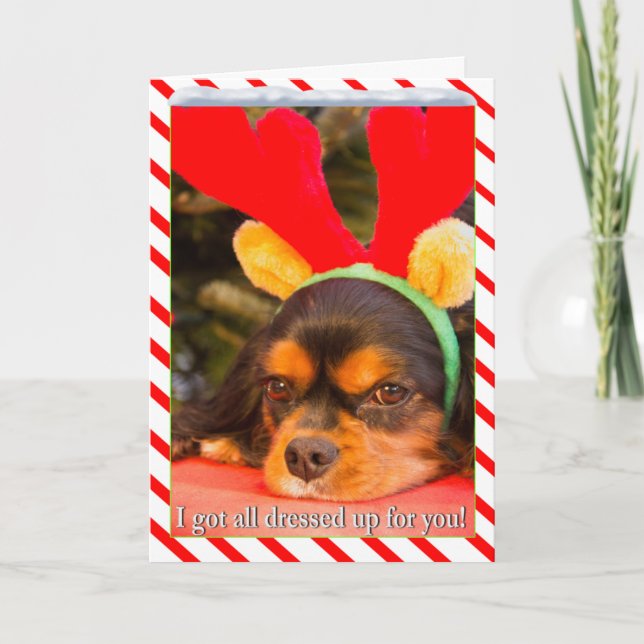 Carte de Noël du roi Charles Spaniel rennes ennuyé (Devant)