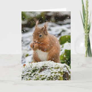 Carte de Noël écureuil dans la neige