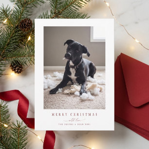 Carte de Noël élégante rouge photo de chien drôle