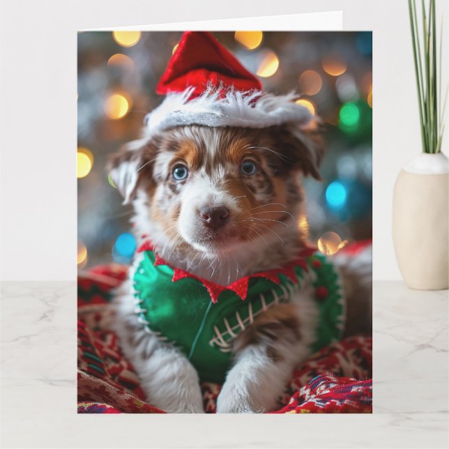 Carte de Noël Elf Chien de bétail australien (Devant)
