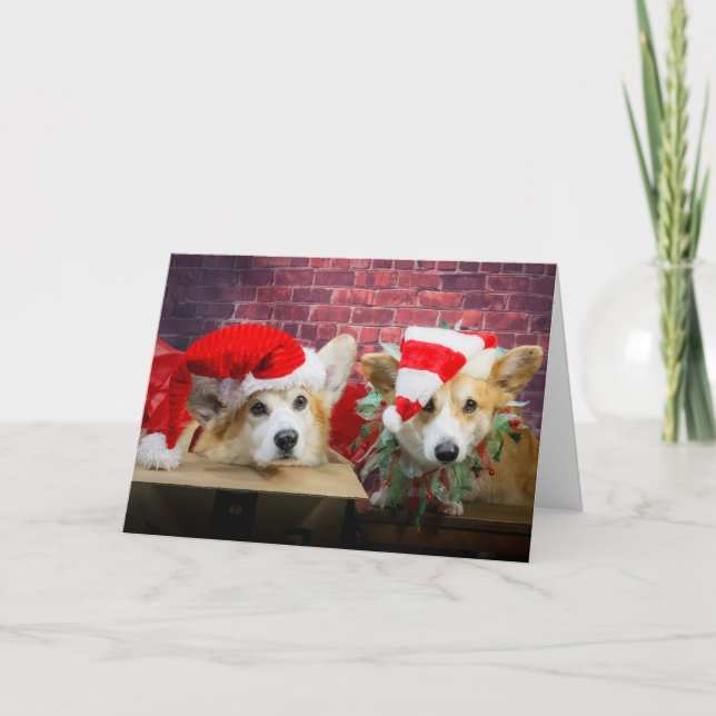 Carte de Noël Elf Corgi (Devant)