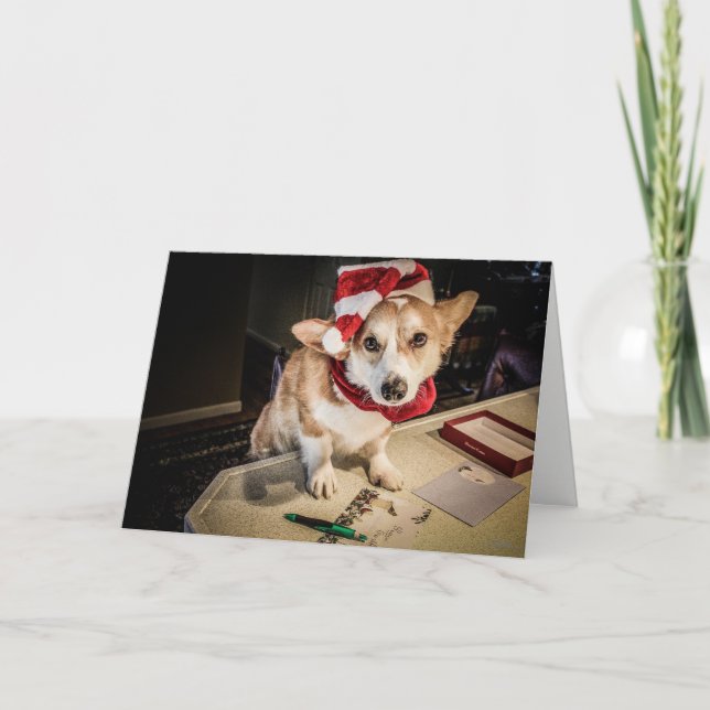 Carte de Noël Elf Corgi (Devant)