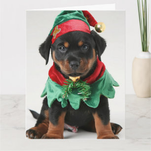 Carte de Noël Elf Puppy Rottweiler