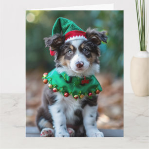 Carte de Noël Elf Puppy Shepherd'Australie