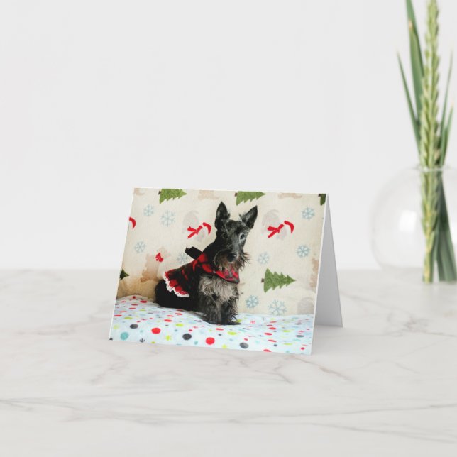 Carte de Noël en attente (Devant)