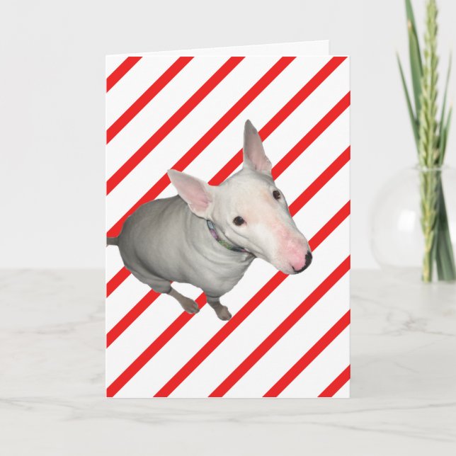 Carte de Noël en bande rouge et blanche (Devant)