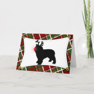 Carte de Noël Espagnole de l'Eau Chien Reindee