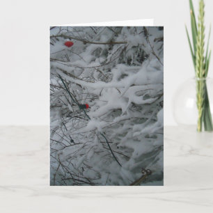 Carte de Noël Festively Fluffed