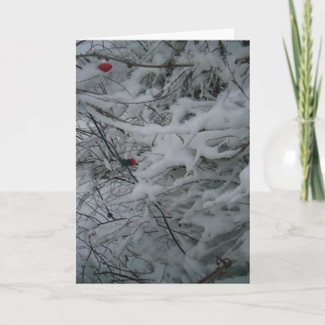 Carte de Noël "Fêteusement Emplumée" (Devant)