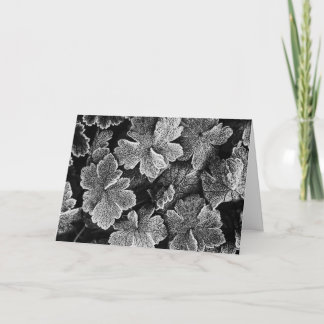Carte de Noël Feuille congelée