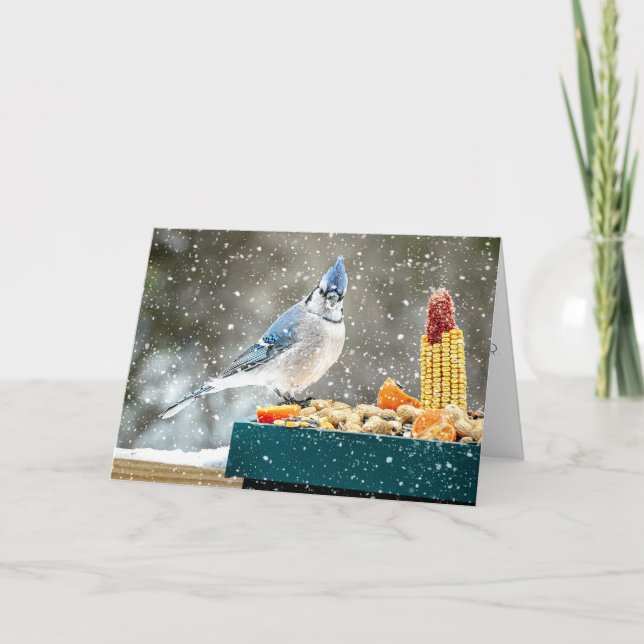 Carte de Noël Geai bleu (Devant)