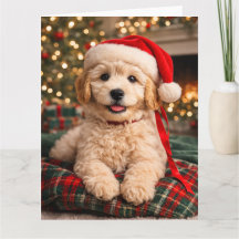 Carte de Noël Golden Doodle