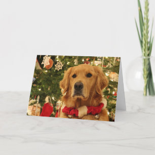 Carte de Noël Golden Retriever