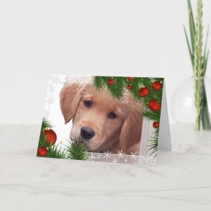 Carte de Noël Golden Retriever - Chien cochon