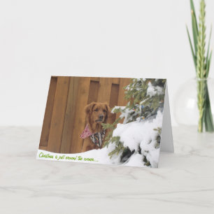 Carte de Noël, Golden Retriever en neige