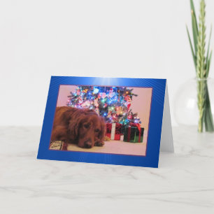 Carte de Noël Golden Retriever, personnalisable