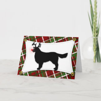 Carte de Noël Golden Retriever Reindee