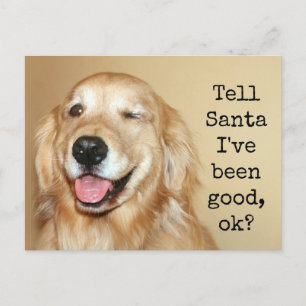 Carte de Noël Golden Retriever Tell Père Noël