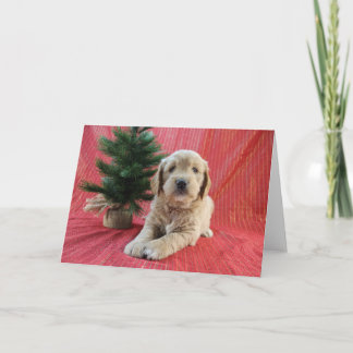 Carte de Noël Goldendoodle