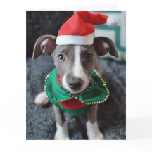 Carte de Noël Greyhound Elf Puppy