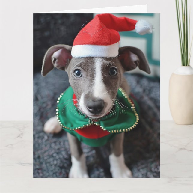 Carte de Noël Greyhound Elf Puppy (Devant)