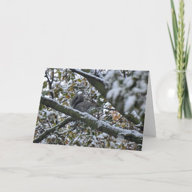 Carte de Noël grise d'écureuil (Devant)