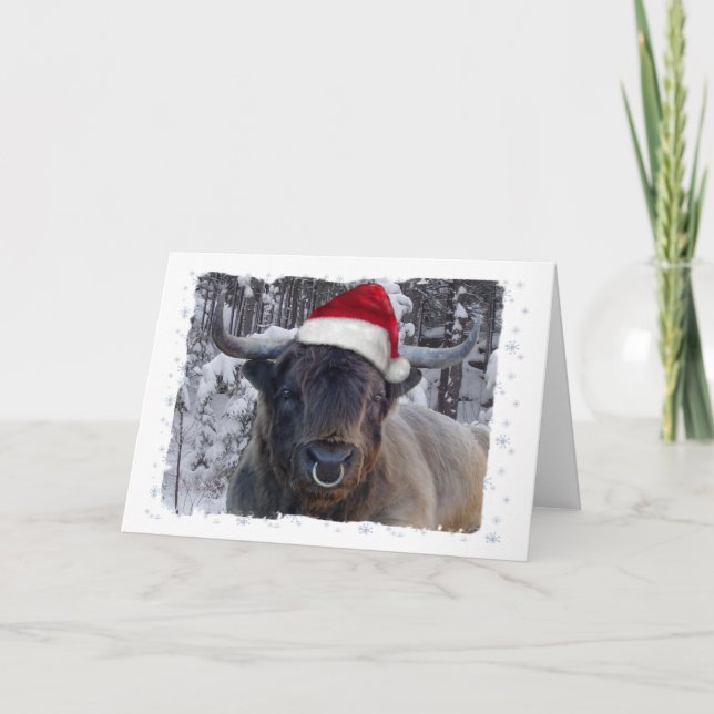 Carte de Noël Highland Cattle (Devant)