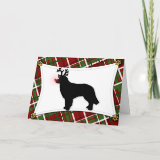 Carte de Noël Hovawart Reindeer