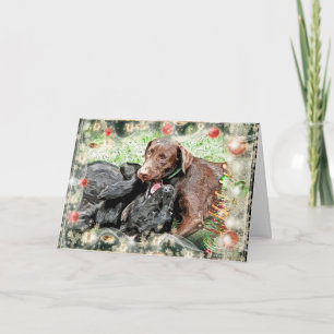 Carte de Noël ~ humour chiot