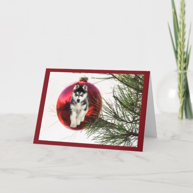 Carte de Noël Husky Sibérienne à pendre la balle (Devant)