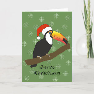 Carte de Noël illustrée de toucan flocons de neige