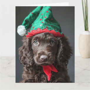 Carte de Noël Irlandais Eau Spaniel Elf Chiot