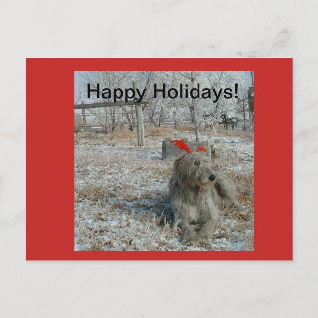 Carte de Noël irlandaise Wolfhound (Devant)