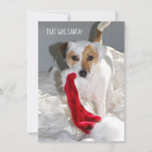 Carte de Noël Jack Russell