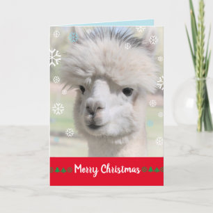 Carte de Noël joyeuse de l'alpaca enneigé